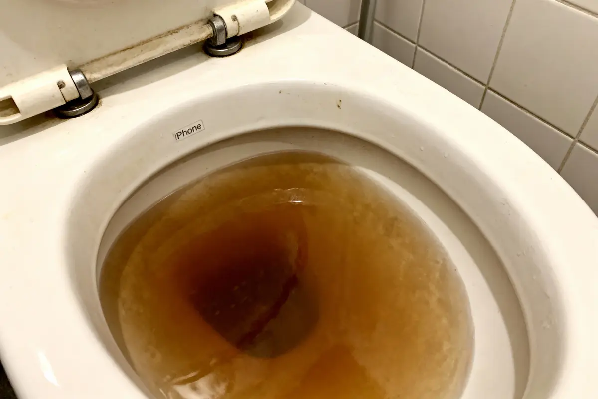 Toilette avec de l'eau brunâtre et étiquette "iPhone" sur la cuvette sale, mur carrelé en arrière-plan.