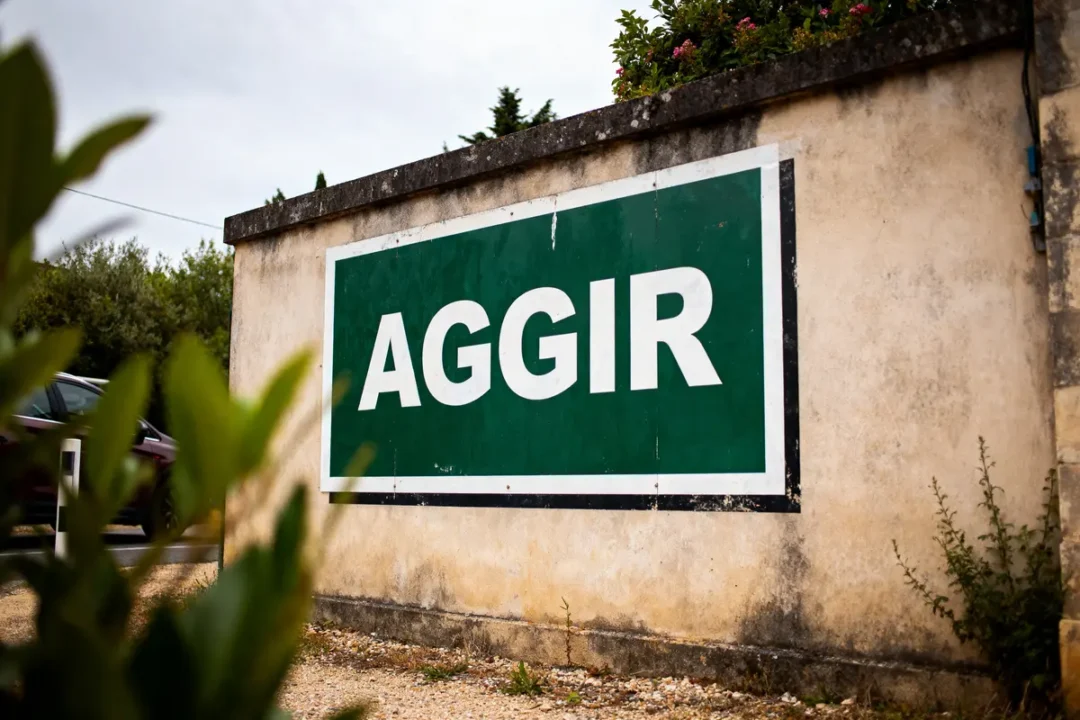Panneau mural vert marqué "AGGIR" avec feuillage au premier plan, voiture floue à gauche.