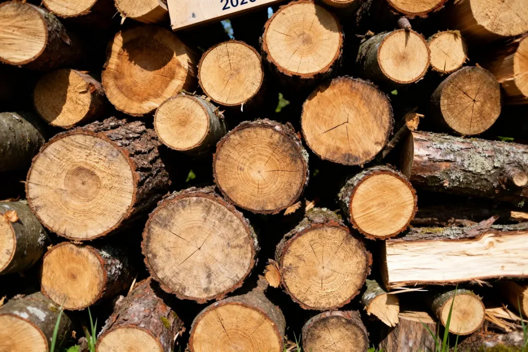 Bûches empilées en extérieur indiquant stère de bois prix pour chauffage domestique efficace