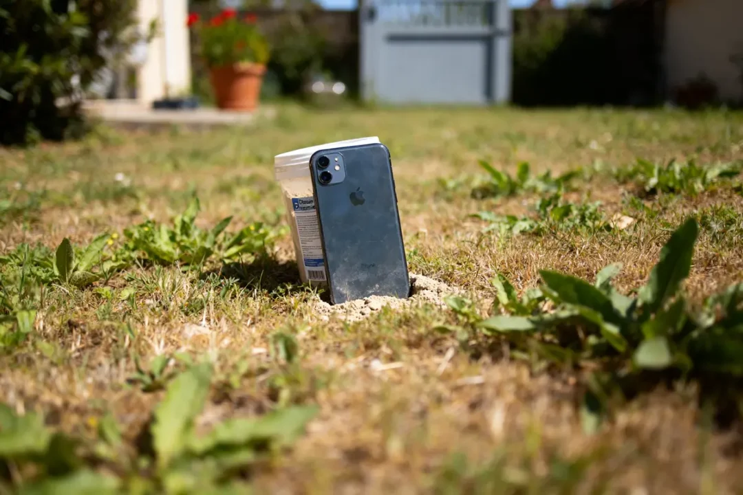 Smartphone sur gazon avec boîte de terre de diatomée punaise de lit en arrière-plan