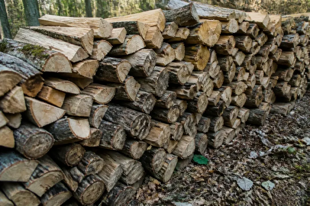 Pile de bois de chauffage à 40 euros le stère empilée dans la forêt