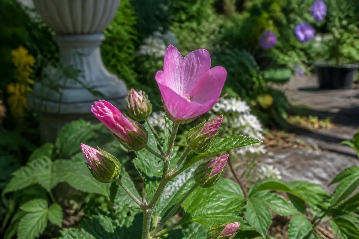 Fleur en ette rose en gros plan dans un jardin verdoyant et fleuri