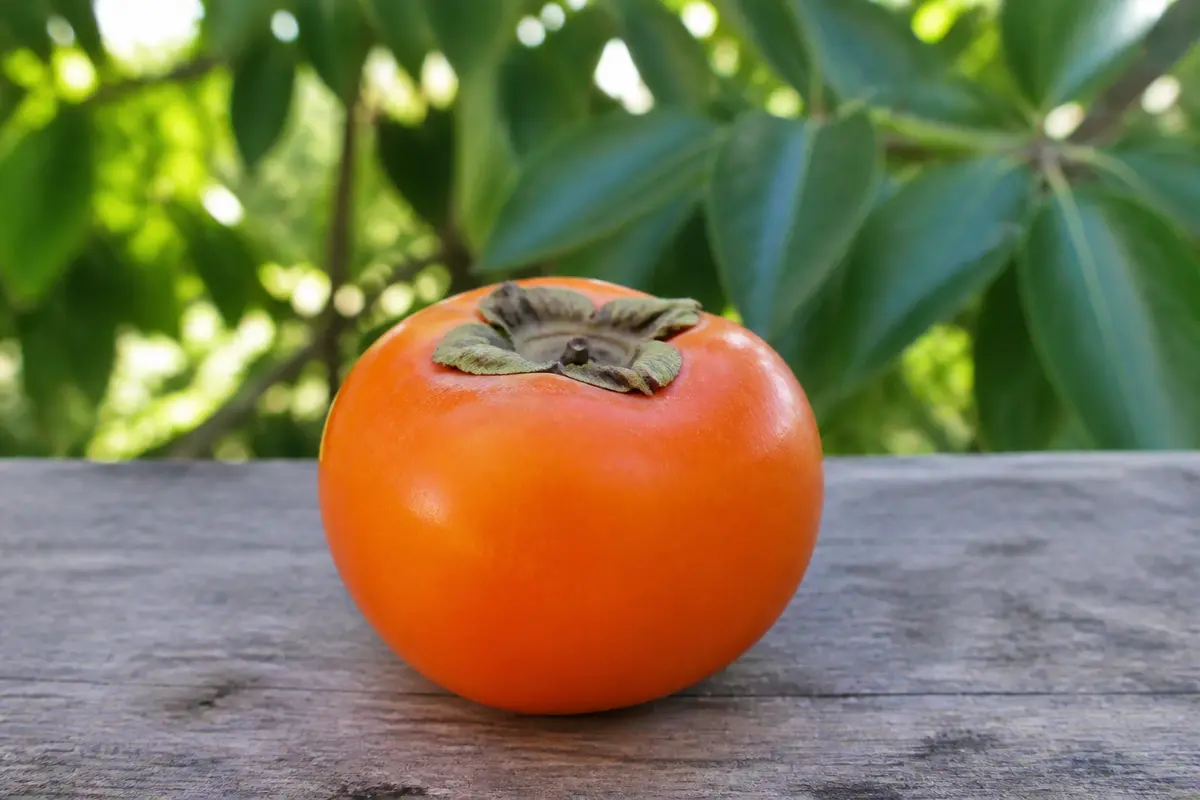 Un kaki orange mûr sur une table en bois devant des feuilles vertes